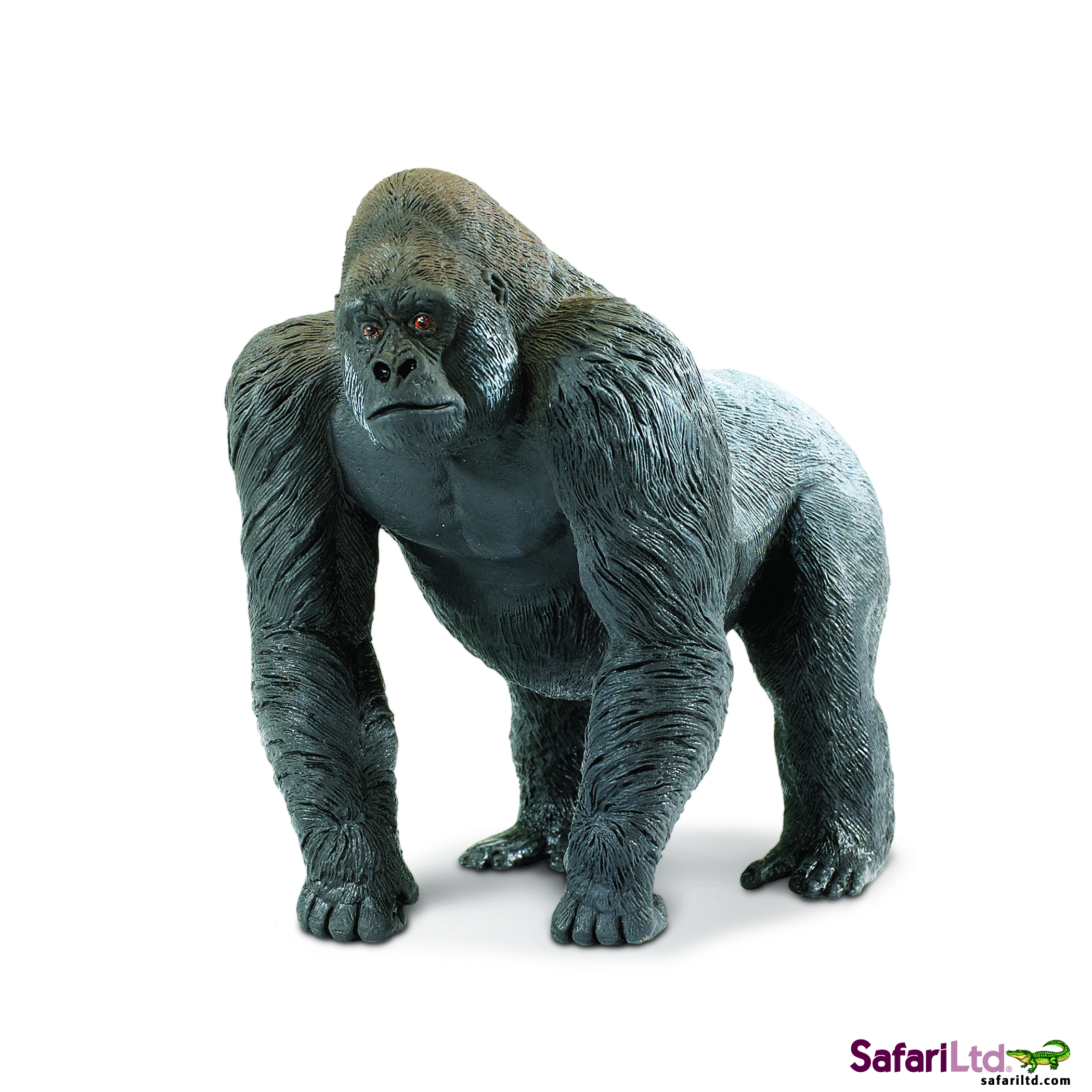 Gorilla Pruefl Kg