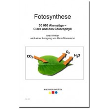 Fotosynthese