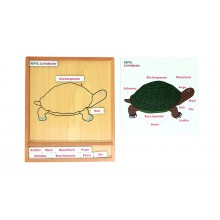 Farbiges Tierpuzzle-Aktivitätsset - Schildkröte - Deutsch