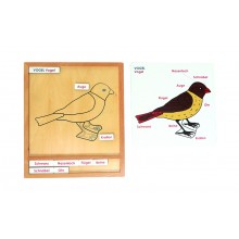 Farebné zvieratko puzzle aktivita-vták