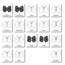 Schmetterling - Klassifikationskarten - Deutsch