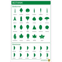 copy of Botanik - drei Teilekarten - Englisch