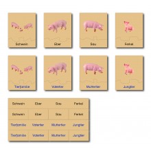 copy of Tierfamilie - Kuh - Englisch